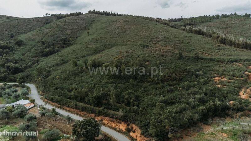Terreno / Fundão, Telhado