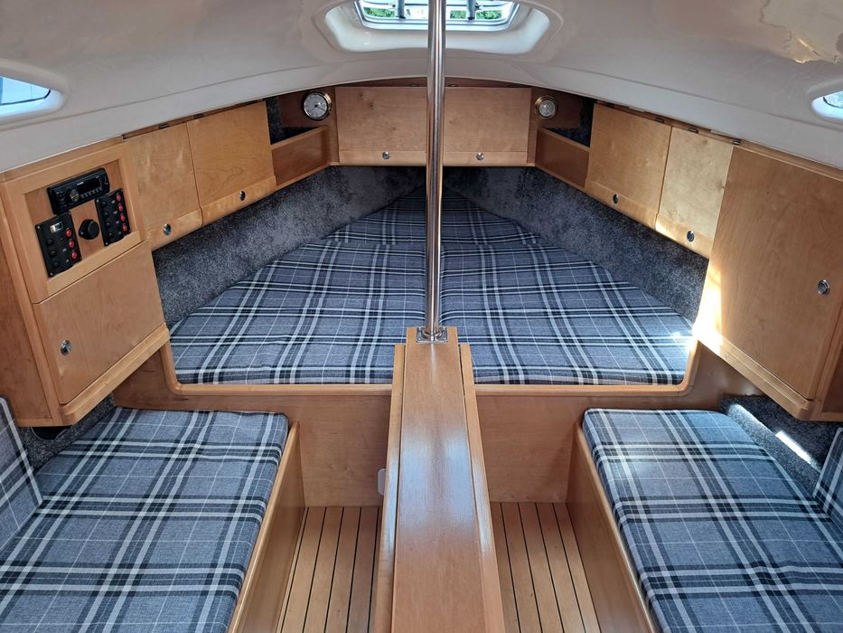 Sasanka 660 Supernowa