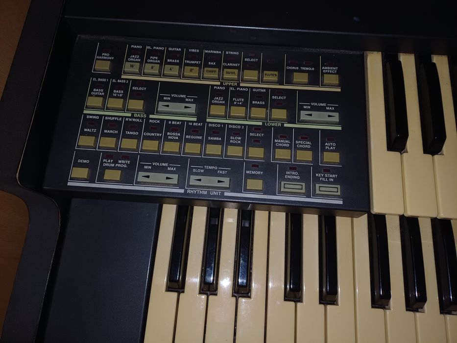 Órgão Viscount RBX-850P