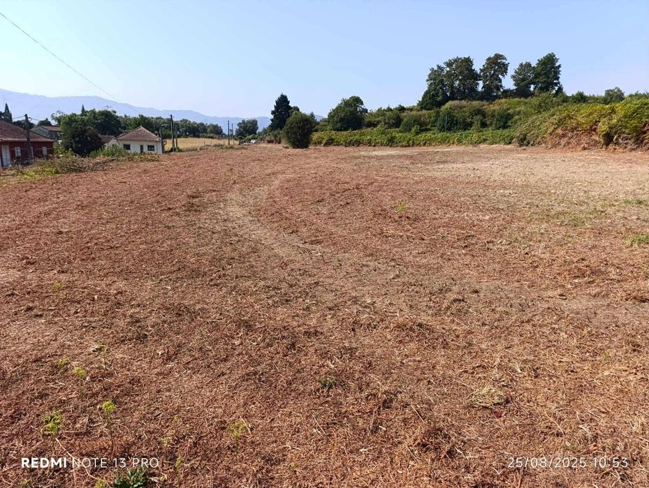 Terreno à venda em Madalena (Jolda)