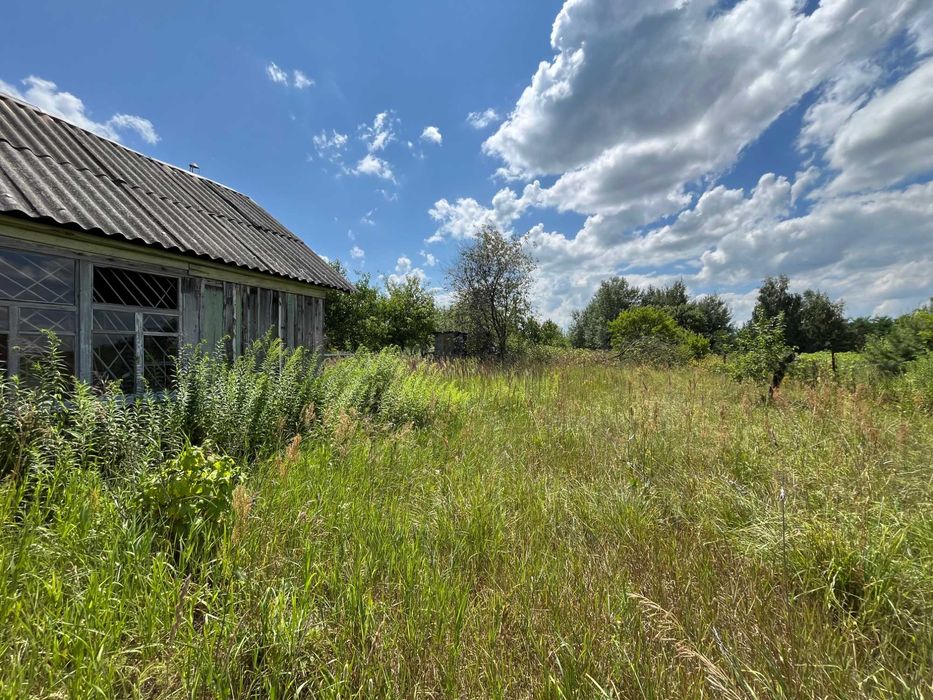 Продається дачна ділянка з будиночком у СТ "Лаванда", Березанка RD