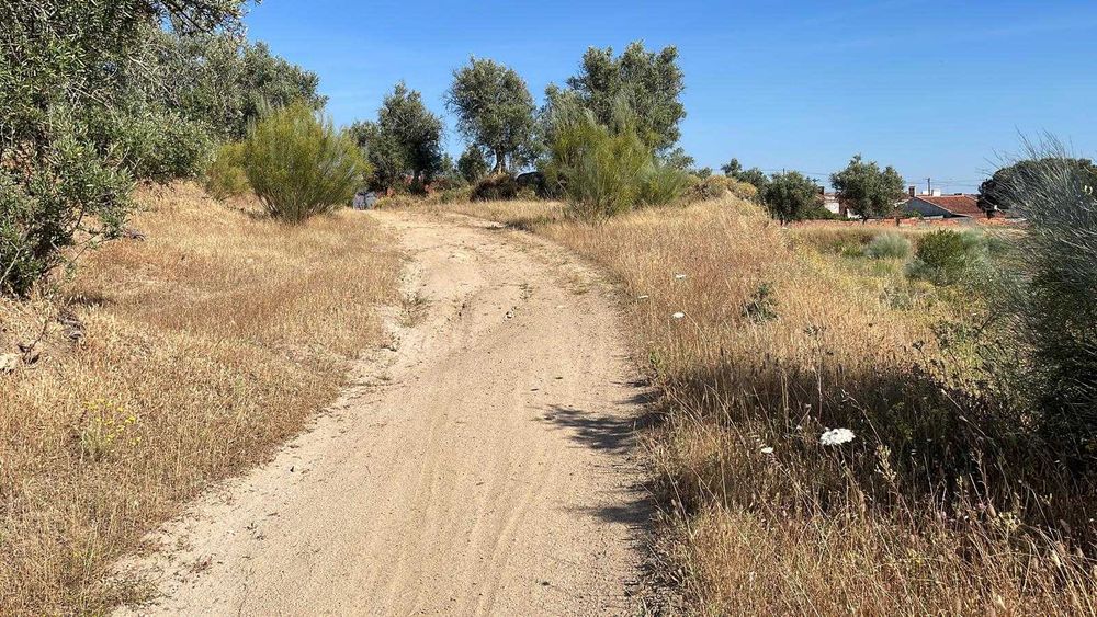 Terreno Urbano em Avis