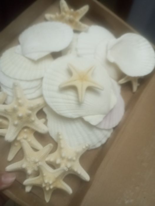 Estrelas e conchas artesanais
