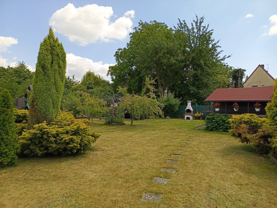 Sprzedam działkę ROD