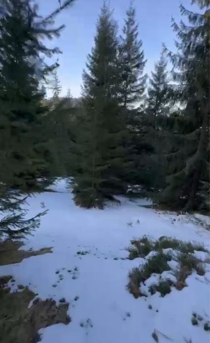 Земельна ділянка з ЛІСОМ на територіі .