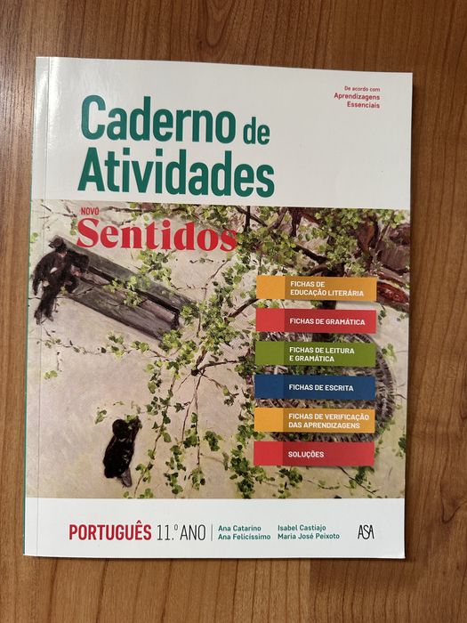 Livro fichas 11 ano