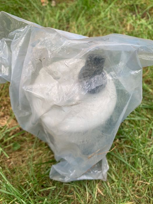 Фільтр Fleetgruard