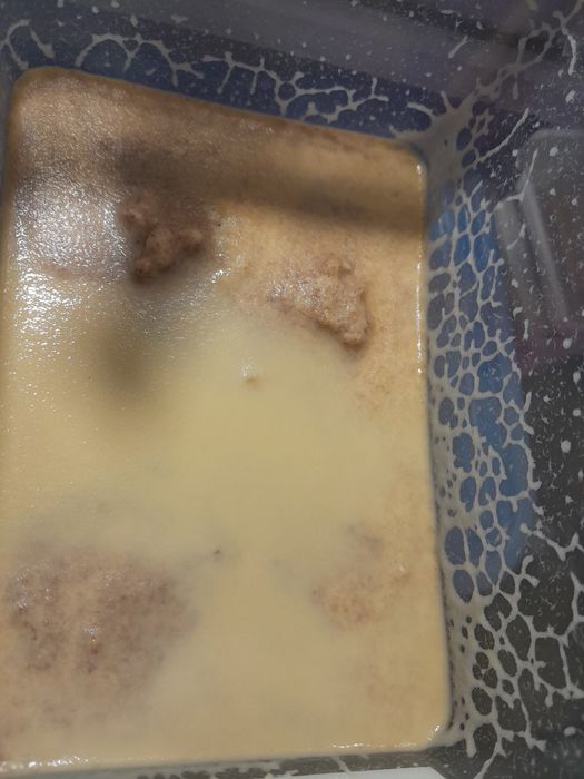 Nicienie micro - gotowa hodowla