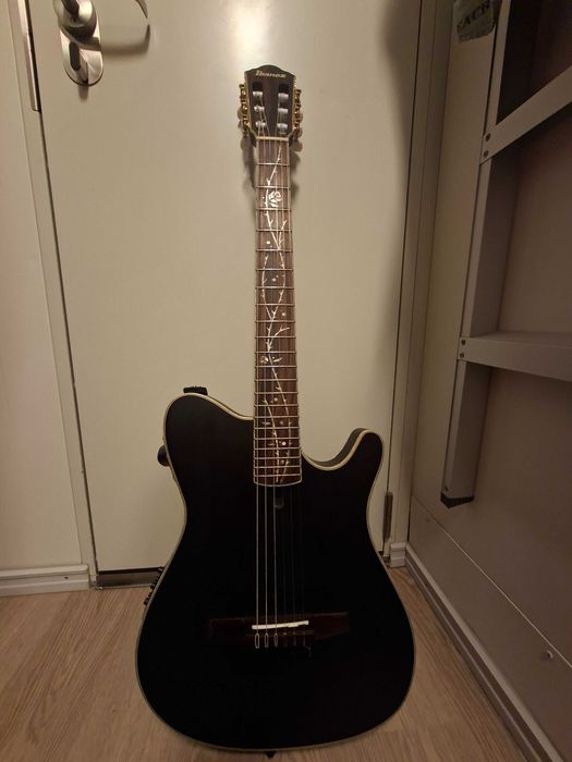 Musical Instrument