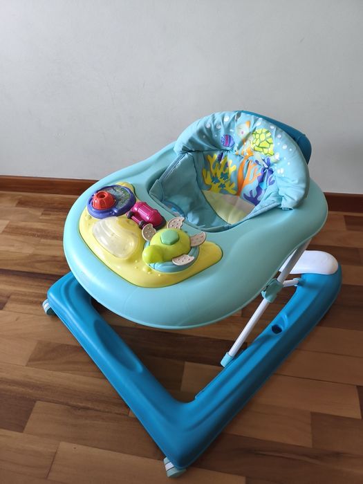 Aranha andarilho.  primeiros passos