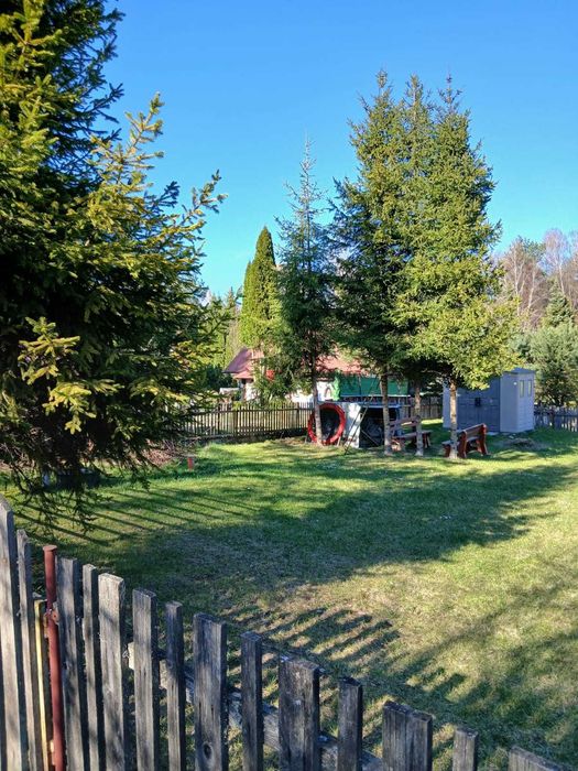 Działka ROD na Zielonej Dolinie w Masłowie