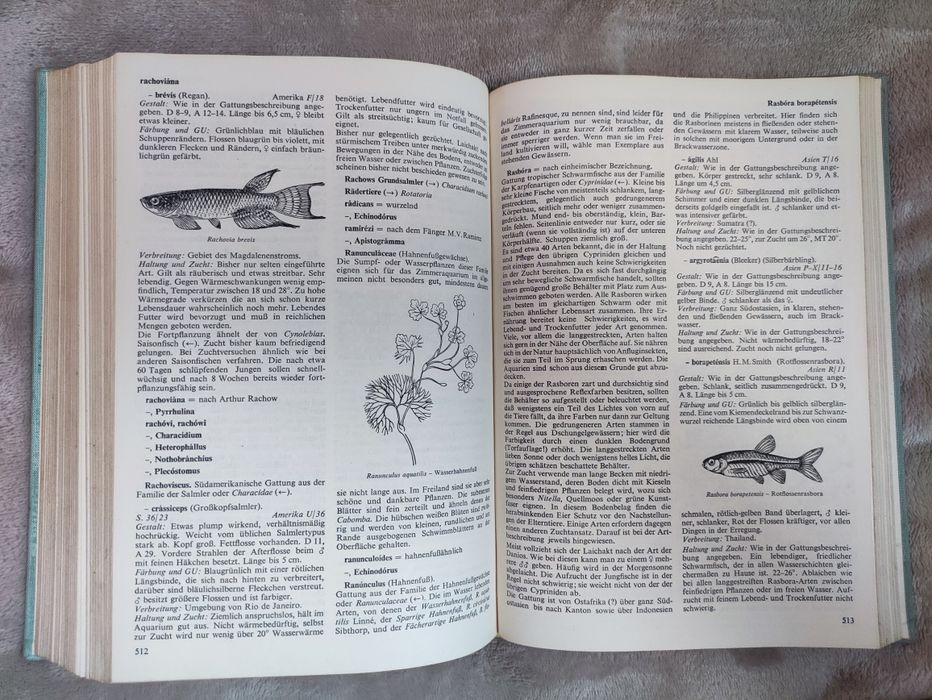Das Aquarium von A bis Z. - Akwarium od A do Z. Wersja niemiecka