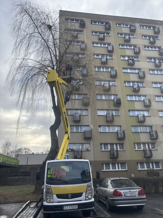 Wynajem podnośnika koszowego 20m