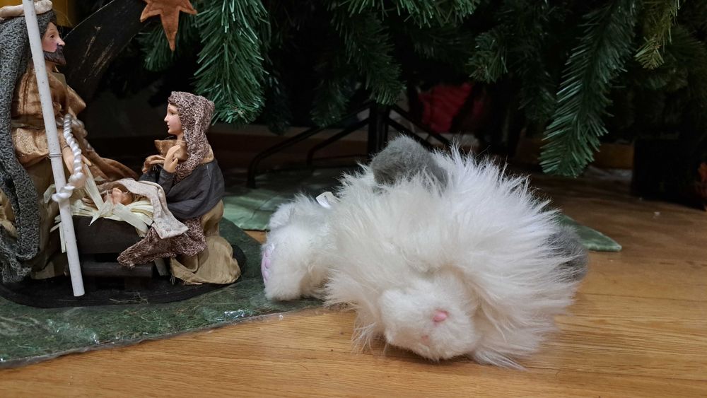 Gatinho Little Live Pets mexe-se e faz sons