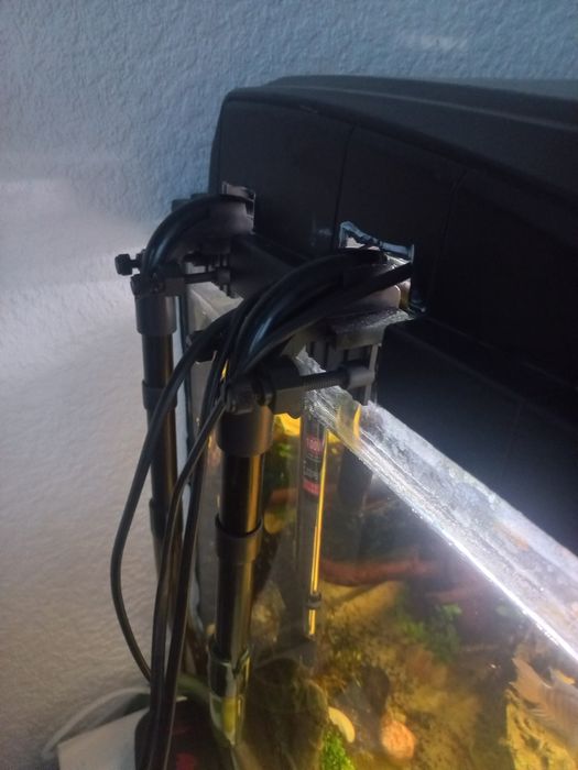 Sprzedam akwarium z rybkami 180l