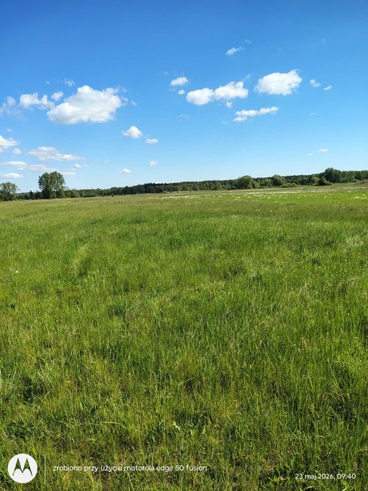 Oddam trawę/siano za darmo