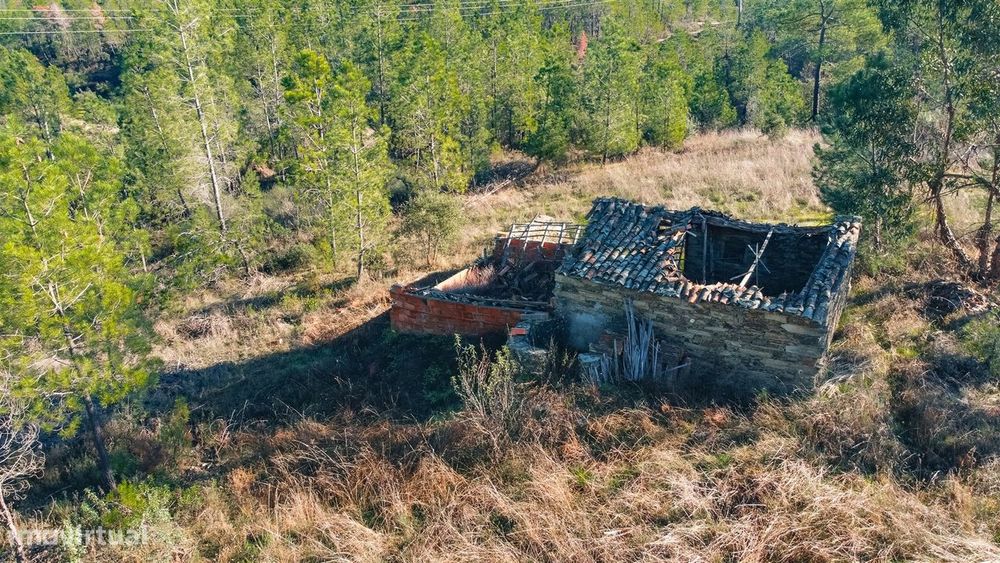 Quinta 5900m2 com ruína registada, barragem, 2 poços e eletricidade —