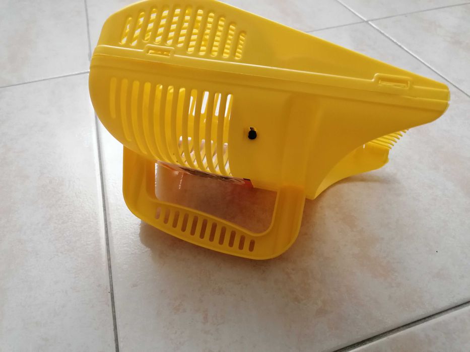 Apanhador de mirtilos