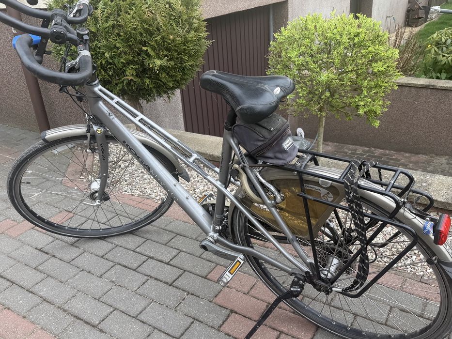 Rower holenderski  - Koga Miyata