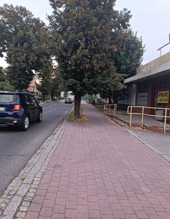 Lokal użytkowy do sprzedaży