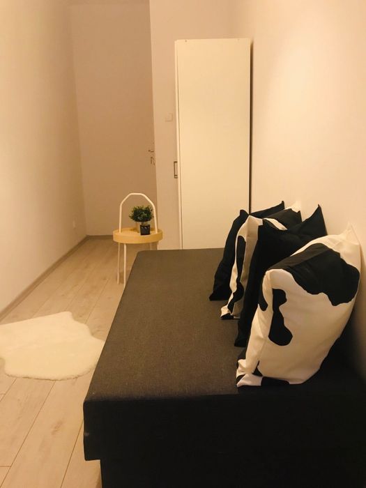 Pokój jednoosobowy w centrum Olsztyna