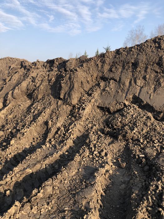 Ziemia ogrodowa torfowa czarnoziem  ziemia przesiewana duże ilości