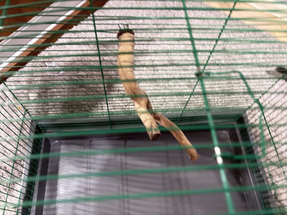 Продаю клітку для папуги