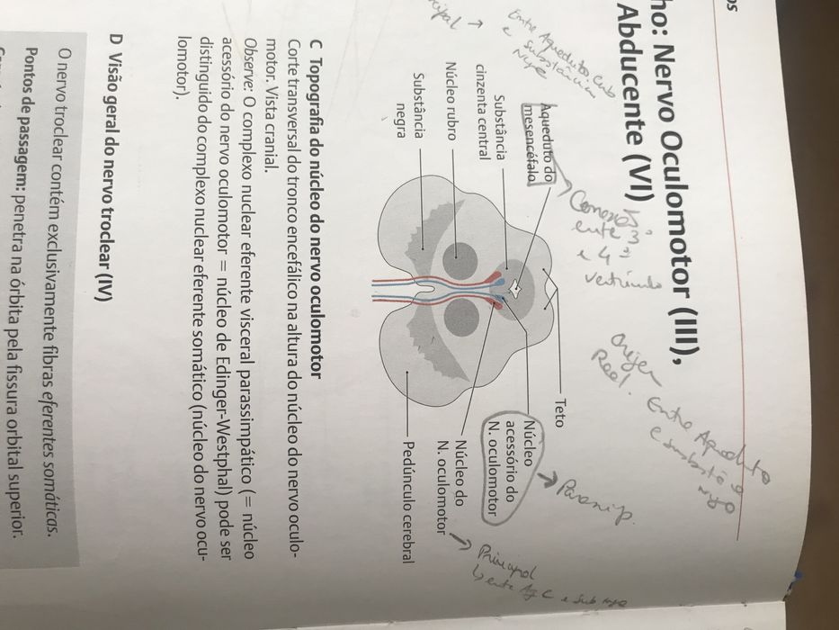 3 Manuais de Medicina para estudante