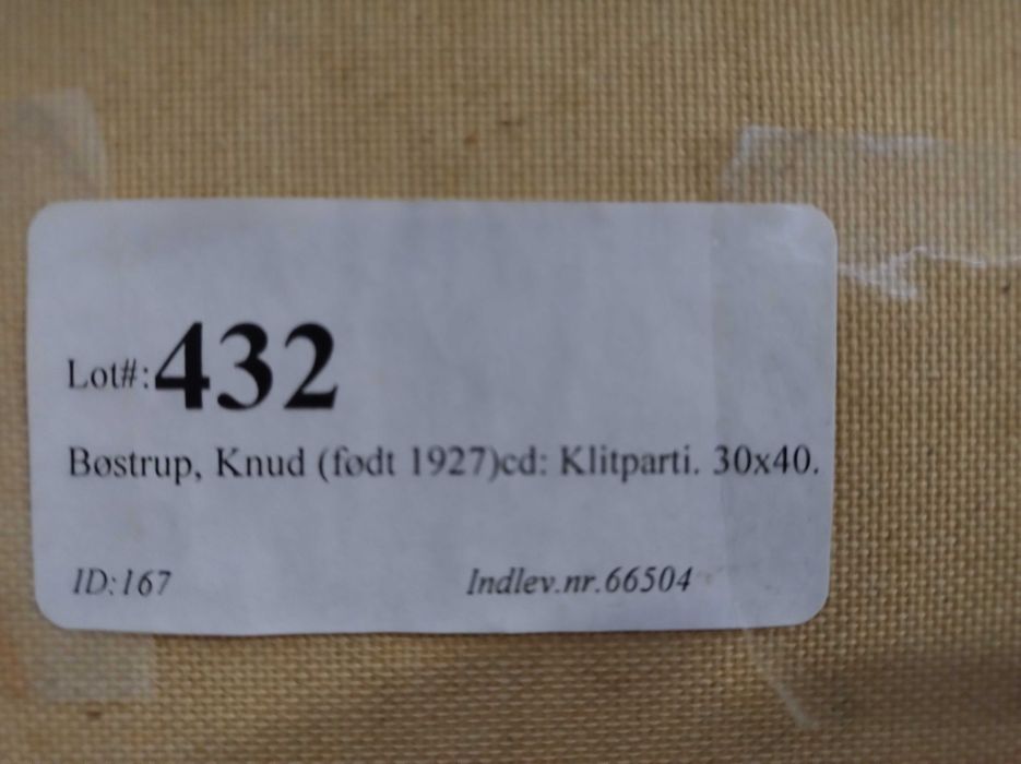 Piękny Stary Obraz Olejny Aukcyjny Knup Bostrup