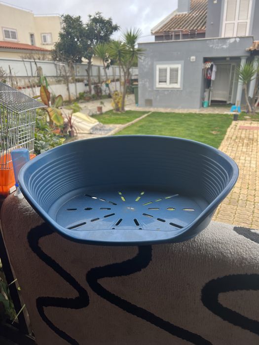 Caixa de gatos ou cães