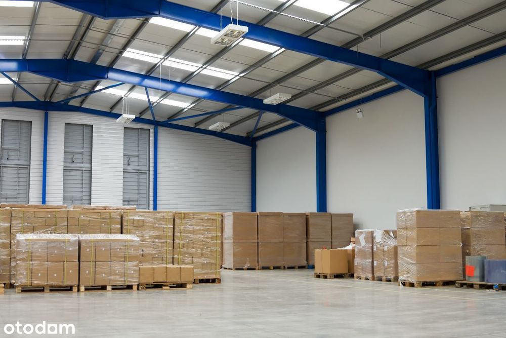 Hala Magazynowa , Magazyn , Miejsca paletowe