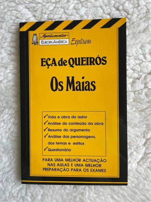 Libro - Os maias - análise da obra