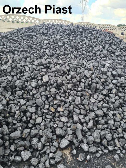 Węgiel Orzech Piast
