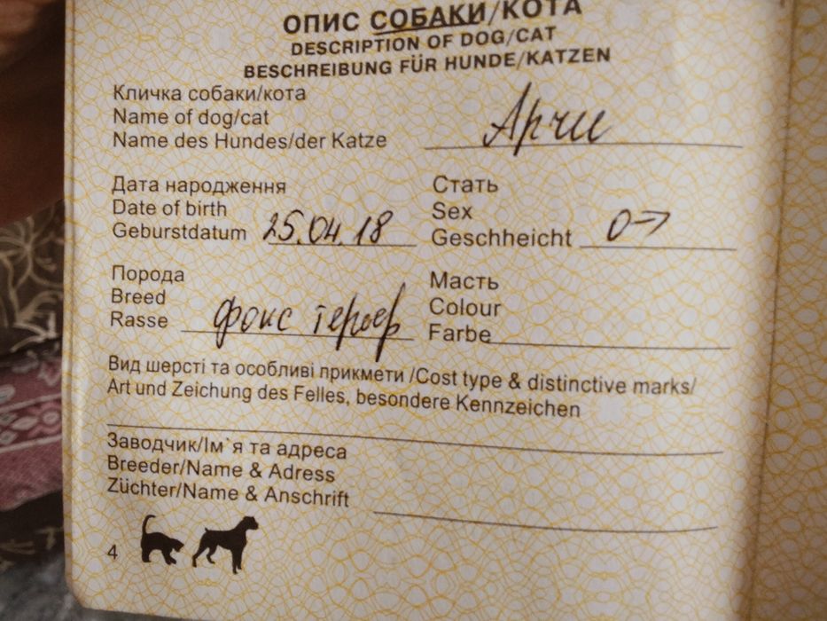 Вязка фокстерьера Одесса