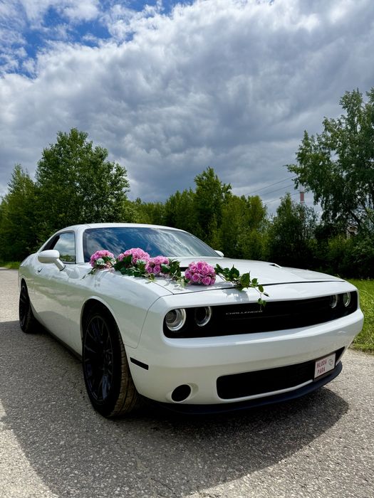 Samochód auto do ślubu Dodge Challenger