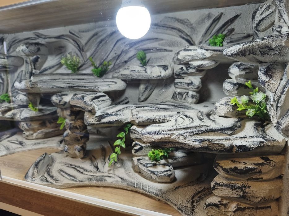 Terrarium agama gekon jaszczurka WYSYŁKA