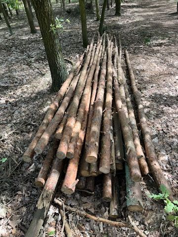 Stemple drewniane 3m/słupy ogrodzeniowe / żerdzie / drewno tartaczne