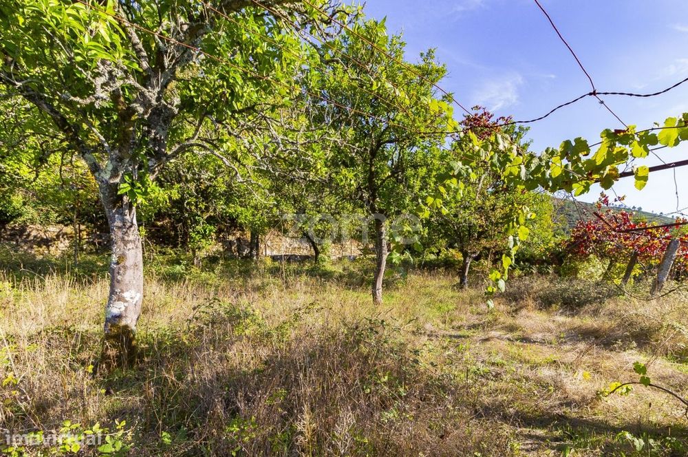 Terreno rústico com 1.760 m2 em Britelo, Ponte da Barca — São Jorge E Ermelo, Viana do Castelo