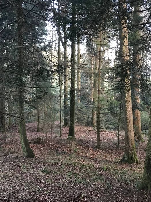 Фасадна земельна ділянка , мінеральна вода «Поляна Квасова»