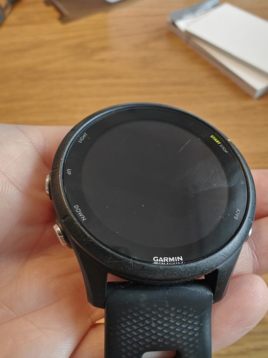 Garmin Forerunner 255 music