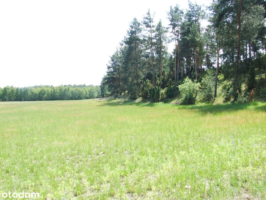 Atrakcyjnie położona działka z warunkami zabudowy