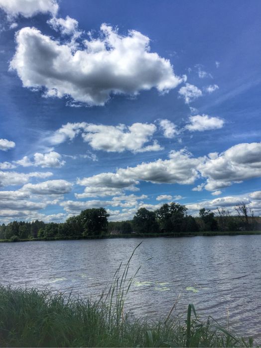 Земельна ділянка 0.23 га у затишному місці