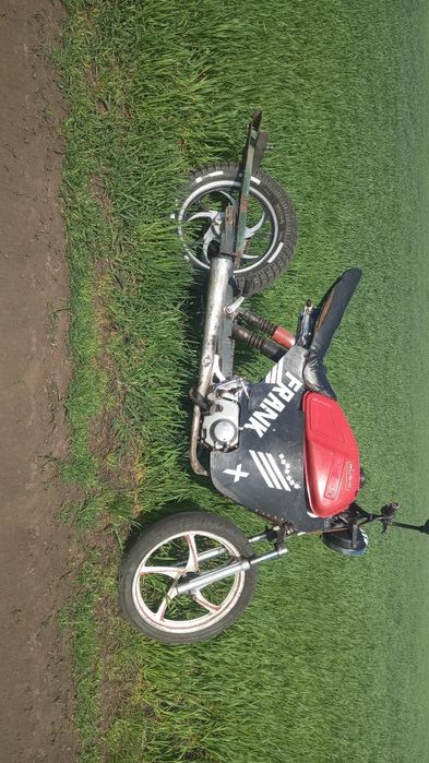 Альфа 110с с удліньоним маятніком