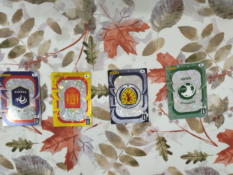 Cards da Panini Oficial