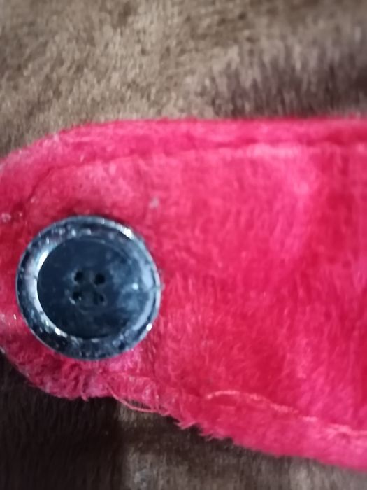 Ubranko dla pieska, nowe