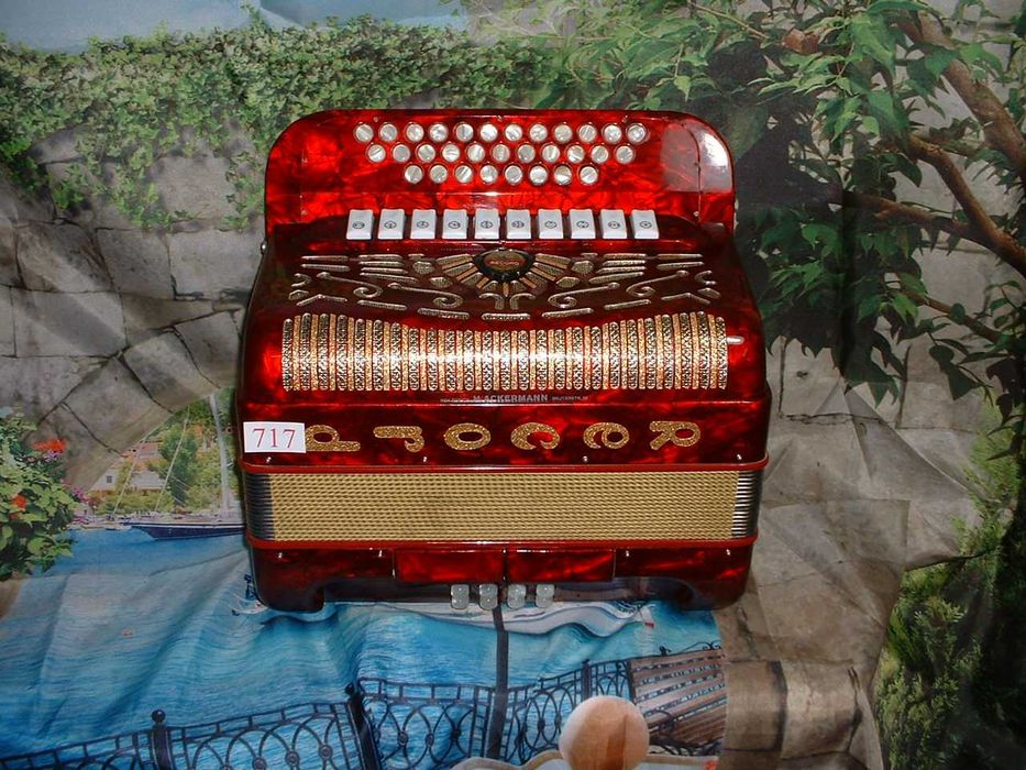 Promoção de Acordeões e  concertinas em lote