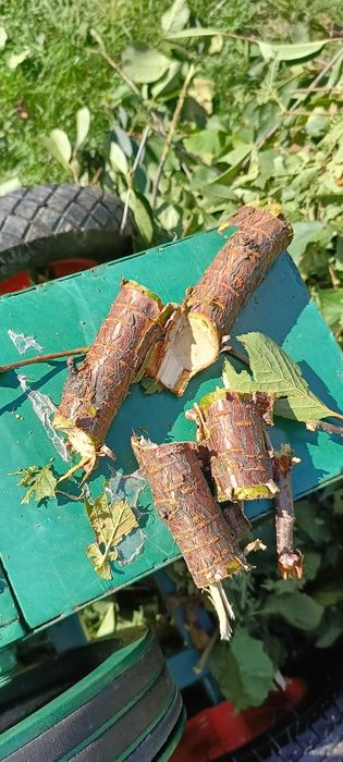 Подрібнювач гілок