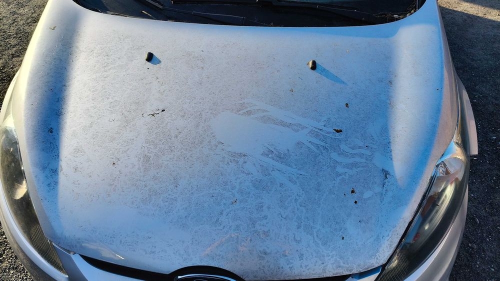 Maska fiesta MK7 JA8 ładna bez korozji