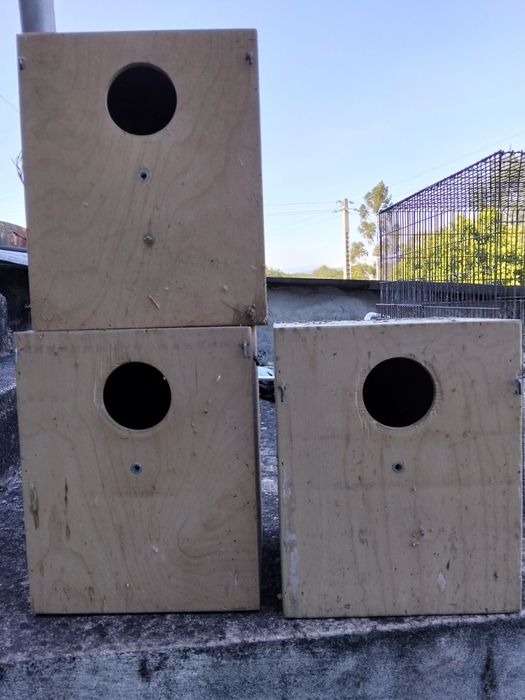 Várias Gaiolas para aves e ninhos caturras