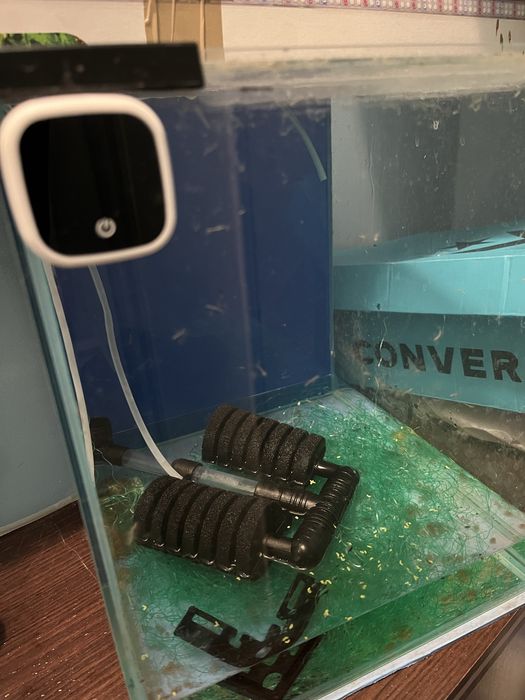 Kostka 20L z filtrem gąbkowym i termometrem